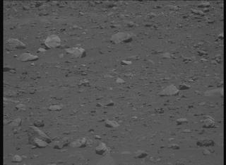 View image taken on Mars, Mars Perseverance Sol 2019: Left Mastcam-Z Camera