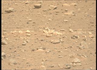 View image taken on Mars, Mars Perseverance Sol 2019: Left Mastcam-Z Camera