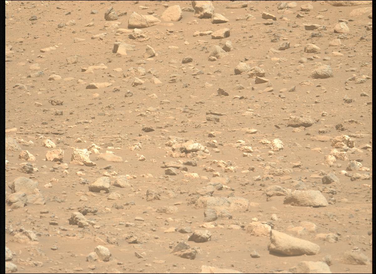 This image was taken by MCZ_LEFT onboard NASA's Mars rover Perseverance on Sol 2019