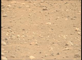 View image taken on Mars, Mars Perseverance Sol 2019: Left Mastcam-Z Camera