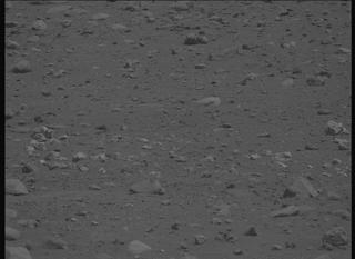 View image taken on Mars, Mars Perseverance Sol 2019: Left Mastcam-Z Camera