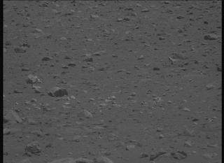 View image taken on Mars, Mars Perseverance Sol 2019: Left Mastcam-Z Camera