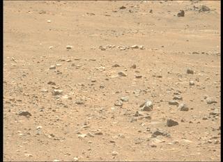 View image taken on Mars, Mars Perseverance Sol 2019: Left Mastcam-Z Camera
