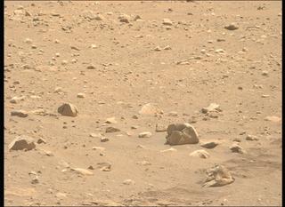 View image taken on Mars, Mars Perseverance Sol 2019: Left Mastcam-Z Camera