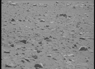 View image taken on Mars, Mars Perseverance Sol 2019: Left Mastcam-Z Camera