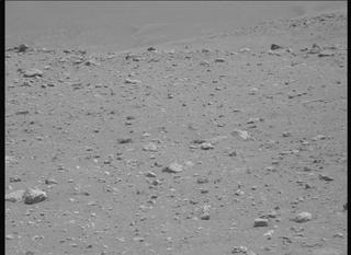 View image taken on Mars, Mars Perseverance Sol 2019: Left Mastcam-Z Camera