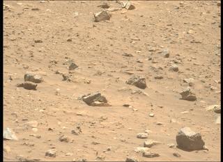 View image taken on Mars, Mars Perseverance Sol 2019: Left Mastcam-Z Camera