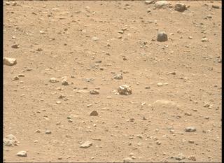 View image taken on Mars, Mars Perseverance Sol 2019: Left Mastcam-Z Camera