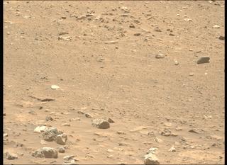View image taken on Mars, Mars Perseverance Sol 2019: Left Mastcam-Z Camera