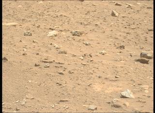 View image taken on Mars, Mars Perseverance Sol 2019: Left Mastcam-Z Camera