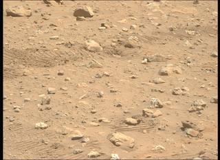 View image taken on Mars, Mars Perseverance Sol 2019: Left Mastcam-Z Camera