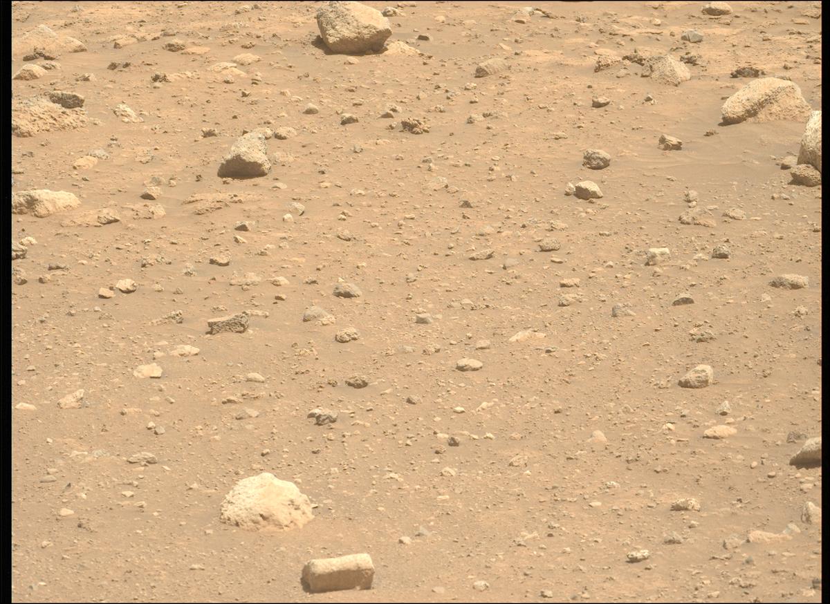This image was taken by MCZ_LEFT onboard NASA's Mars rover Perseverance on Sol 2019