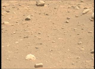 View image taken on Mars, Mars Perseverance Sol 2019: Left Mastcam-Z Camera