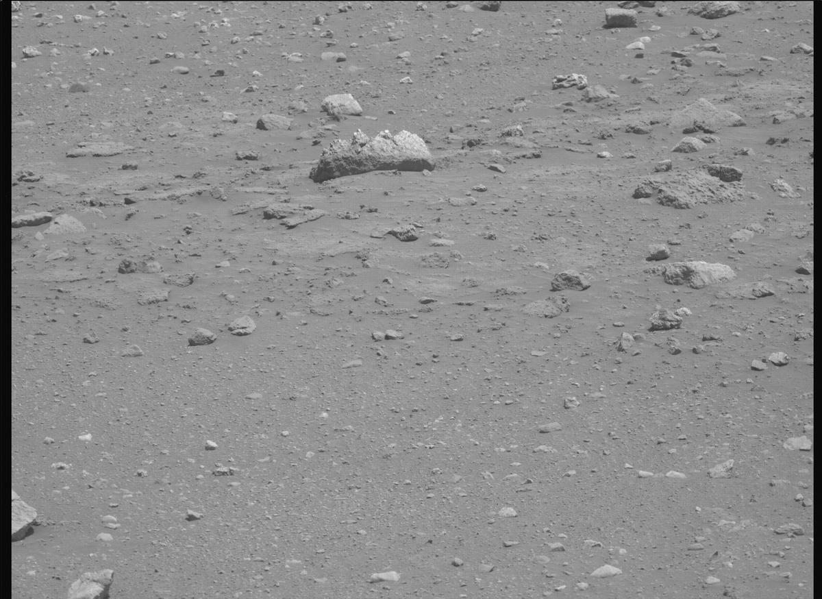 This image was taken by MCZ_LEFT onboard NASA's Mars rover Perseverance on Sol 2019