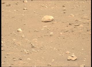 View image taken on Mars, Mars Perseverance Sol 2019: Left Mastcam-Z Camera