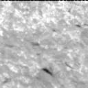 This image was taken by MCZ_LEFT onboard NASA's Mars rover Perseverance on Sol 2019