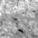 View image taken on Mars, Mars Perseverance Sol 2019: Left Mastcam-Z Camera