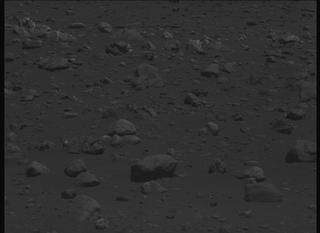 View image taken on Mars, Mars Perseverance Sol 2019: Left Mastcam-Z Camera