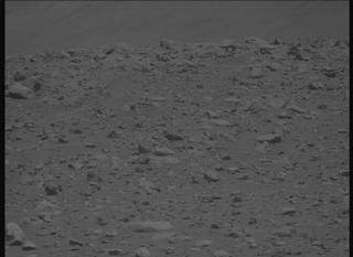 View image taken on Mars, Mars Perseverance Sol 2019: Right Mastcam-Z Camera