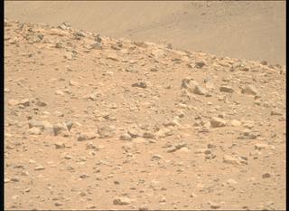 View image taken on Mars, Mars Perseverance Sol 2019: Right Mastcam-Z Camera