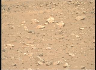 View image taken on Mars, Mars Perseverance Sol 2019: Right Mastcam-Z Camera