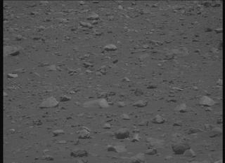 View image taken on Mars, Mars Perseverance Sol 2019: Right Mastcam-Z Camera