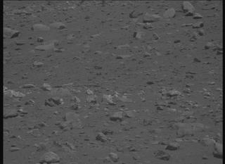 View image taken on Mars, Mars Perseverance Sol 2019: Right Mastcam-Z Camera