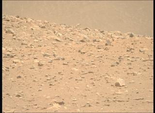 View image taken on Mars, Mars Perseverance Sol 2019: Right Mastcam-Z Camera