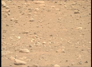 View image taken on Mars, Mars Perseverance Sol 2019: Right Mastcam-Z Camera