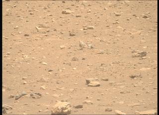 View image taken on Mars, Mars Perseverance Sol 2019: Right Mastcam-Z Camera