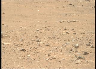 View image taken on Mars, Mars Perseverance Sol 2019: Right Mastcam-Z Camera