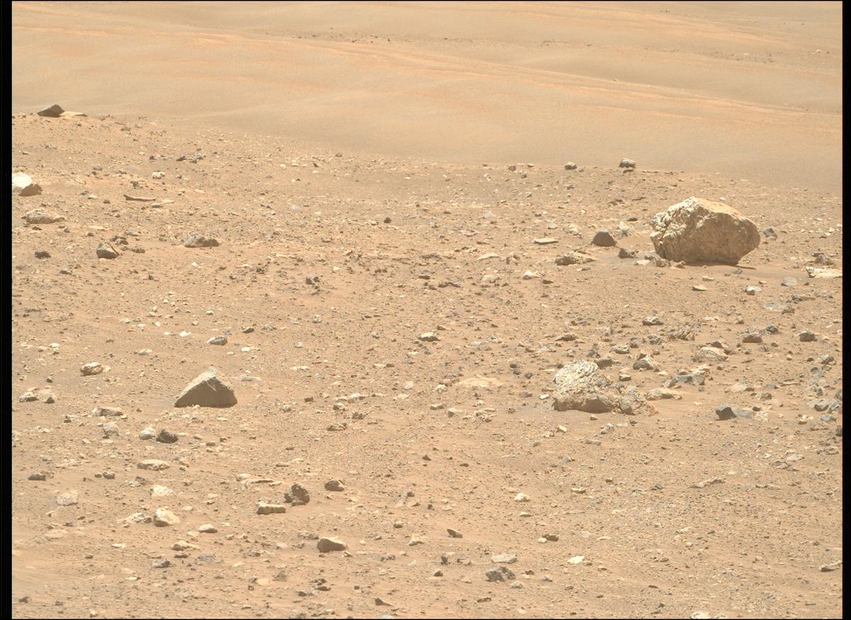 This image was taken by MCZ_RIGHT onboard NASA's Mars rover Perseverance on Sol 2019