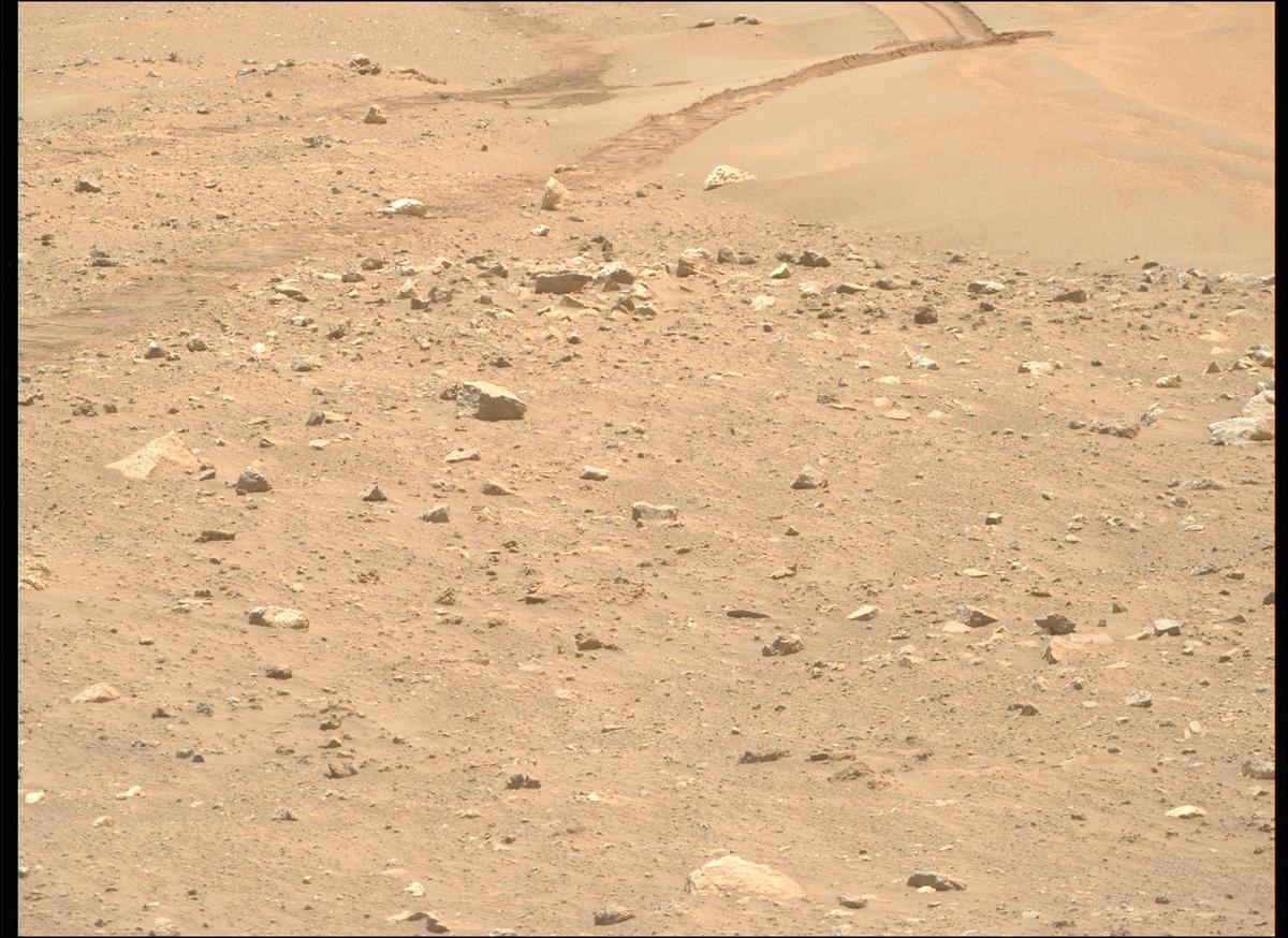 This image was taken by MCZ_RIGHT onboard NASA's Mars rover Perseverance on Sol 2019