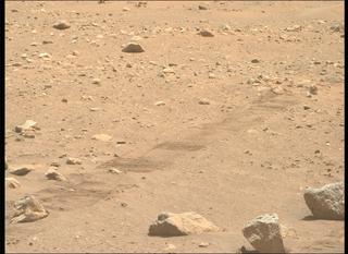 View image taken on Mars, Mars Perseverance Sol 2019: Right Mastcam-Z Camera
