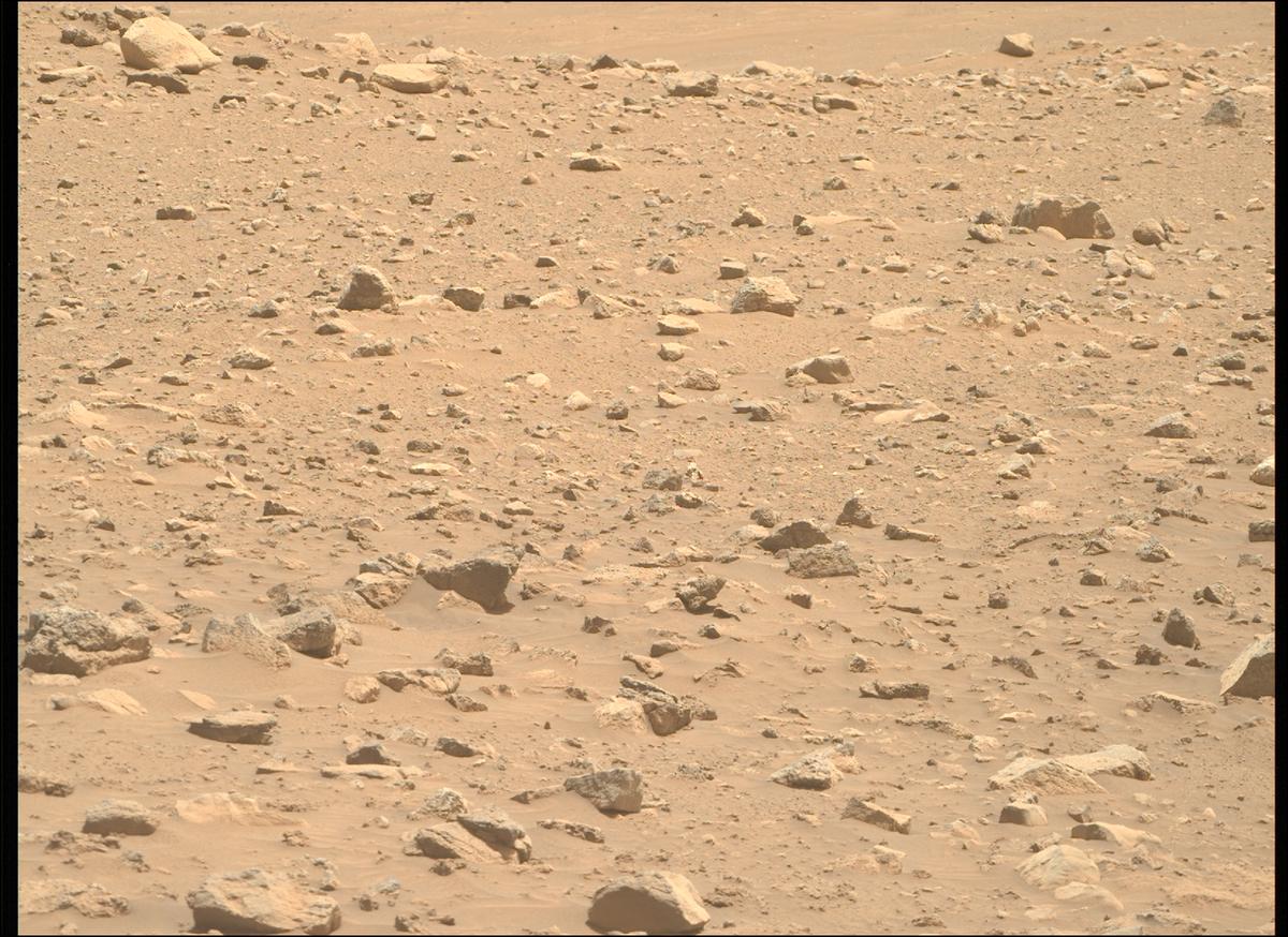 This image was taken by MCZ_RIGHT onboard NASA's Mars rover Perseverance on Sol 2019