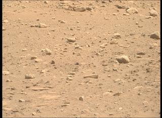 View image taken on Mars, Mars Perseverance Sol 2019: Right Mastcam-Z Camera