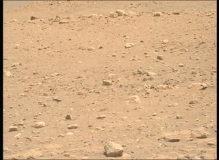 View image taken on Mars, Mars Perseverance Sol 2019: Right Mastcam-Z Camera