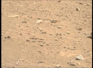 View image taken on Mars, Mars Perseverance Sol 2019: Right Mastcam-Z Camera