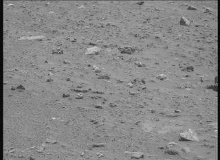 View image taken on Mars, Mars Perseverance Sol 2019: Right Mastcam-Z Camera