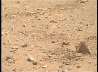 View image taken on Mars, Mars Perseverance Sol 2019: Right Mastcam-Z Camera