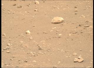 View image taken on Mars, Mars Perseverance Sol 2019: Right Mastcam-Z Camera