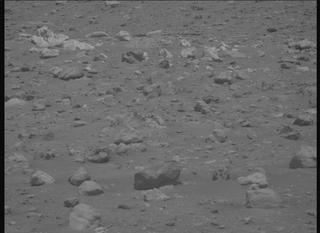 View image taken on Mars, Mars Perseverance Sol 2019: Right Mastcam-Z Camera