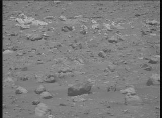 View image taken on Mars, Mars Perseverance Sol 2019: Right Mastcam-Z Camera