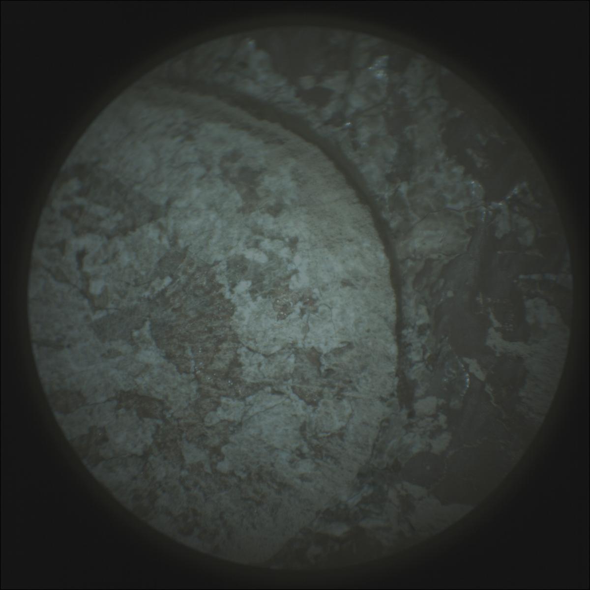 This image was taken by SUPERCAM_RMI onboard NASA's Mars rover Perseverance on Sol 2020