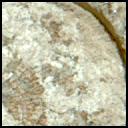 View image taken on Mars, Mars Perseverance Sol 2020: Left Mastcam-Z Camera