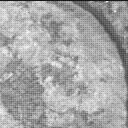 View image taken on Mars, Mars Perseverance Sol 2020: Left Mastcam-Z Camera