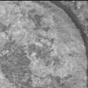 View image taken on Mars, Mars Perseverance Sol 2020: Left Mastcam-Z Camera