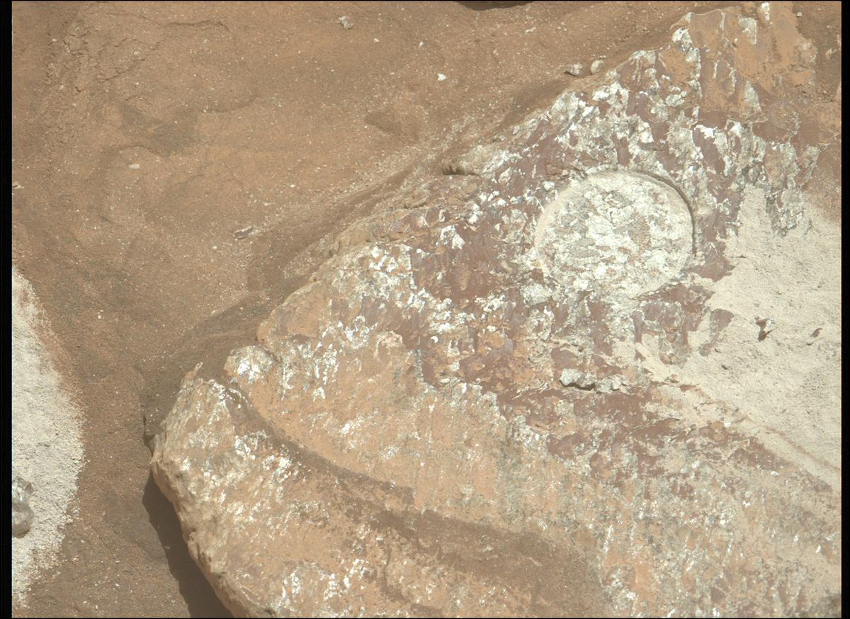 This image was taken by MCZ_LEFT onboard NASA's Mars rover Perseverance on Sol 2020