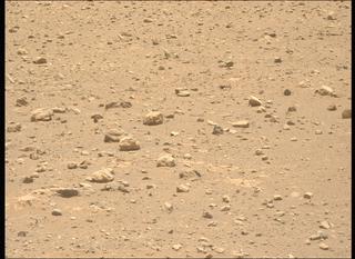 View image taken on Mars, Mars Perseverance Sol 2020: Left Mastcam-Z Camera
