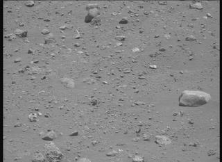 View image taken on Mars, Mars Perseverance Sol 2020: Left Mastcam-Z Camera